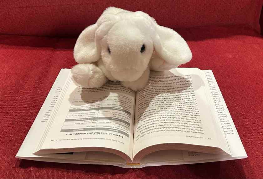 Marshmallow is reading Atomic Habits: An Easy & Proven Way to Build Good Habits & Break Bad Ones by James Clear.