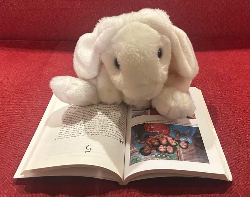 Marshmallow is reading From Goddess to Mortal: The True-life Story of a Former Royal Kumari by Rashmila Shakya (as told to Scott Berry).