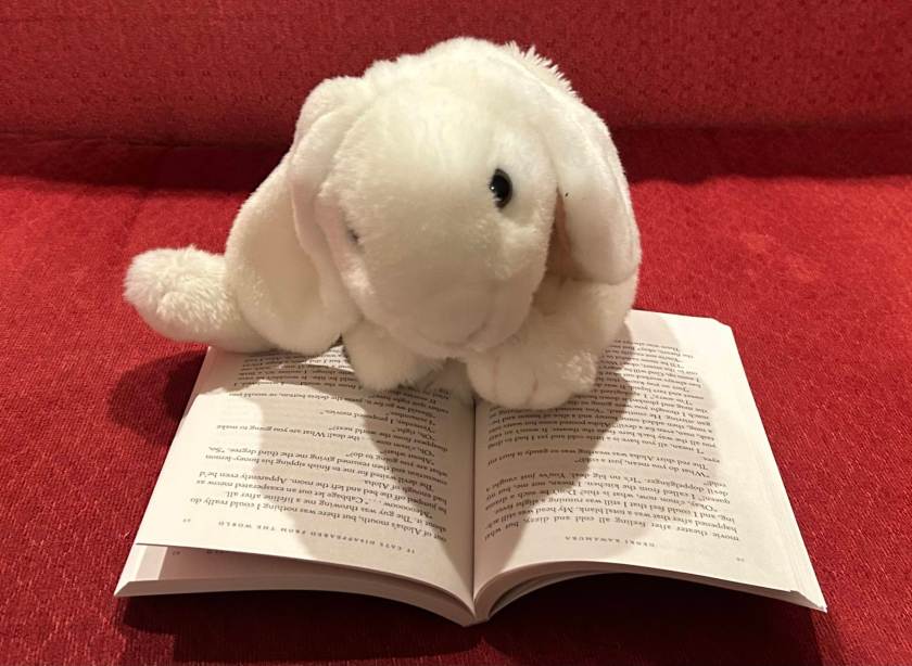Marshmallow is reading If Cats Disappeared from the World by Genki Kawamura.