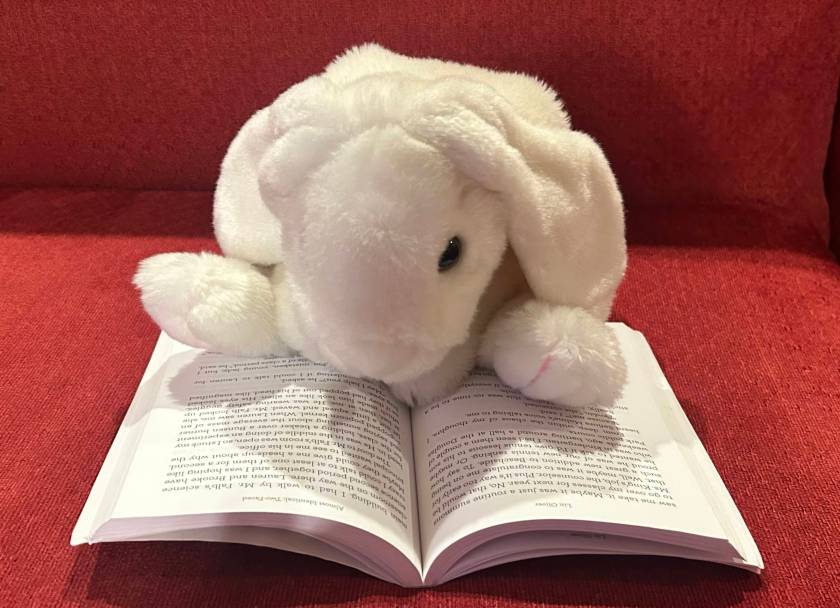 Marshmallow is reading Almost Identical: Two-Faced by Lin Oliver.
