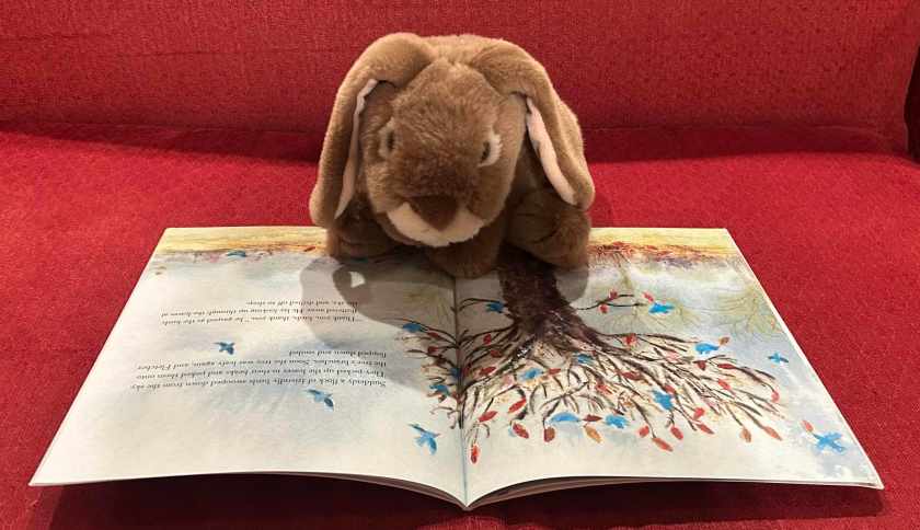 Caramel is reading Fletcher and the Falling Leaves, written by Julia Rawlinson and illustrated by Tiphanie Beeke.