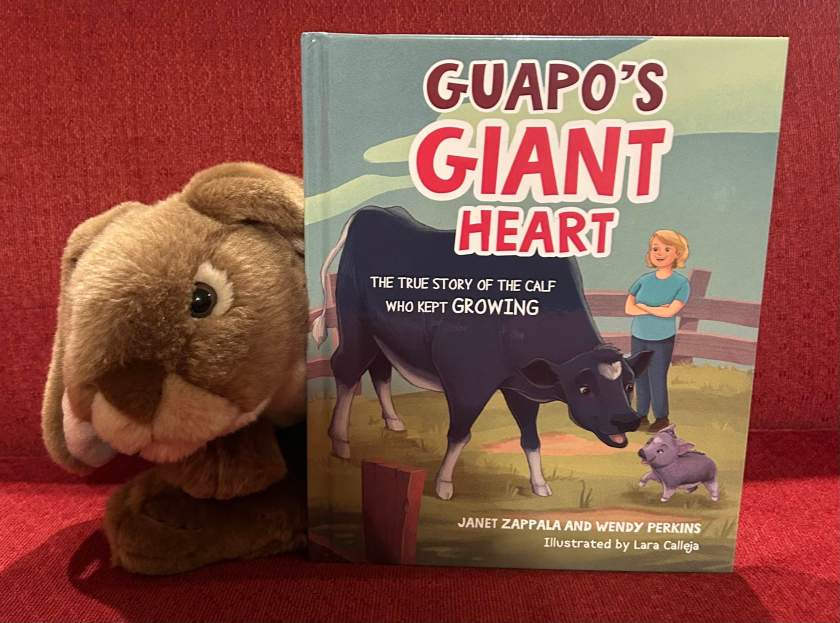 Caramel enjoyed reading Guapo’s Giant Heart: The True Story of The Calf Who Kept Growing, written by Janet Zappala and Wendy Perkins, and illustrated by Lara Calleja, and recommends it to all young bunnies who are curious about the life of real rescue animals.