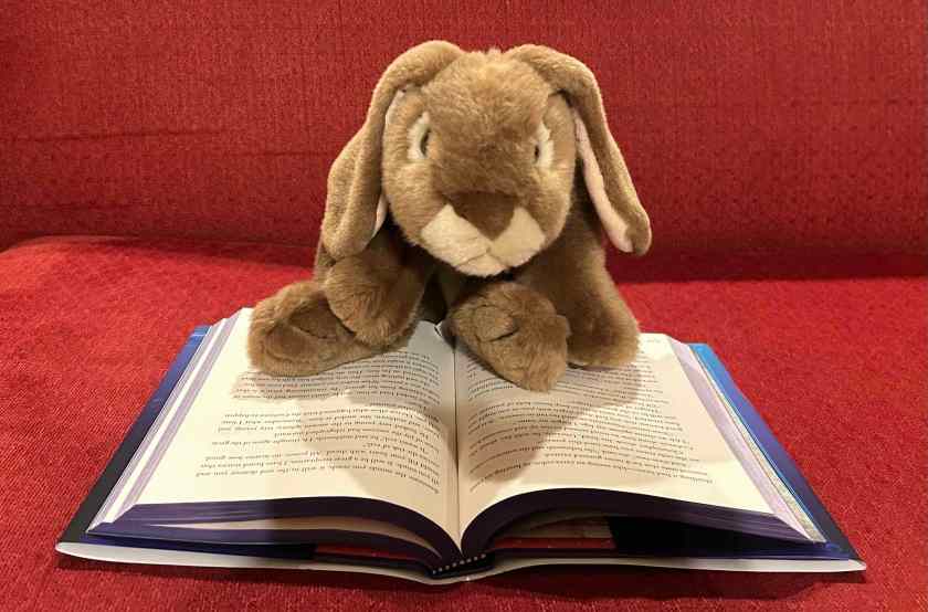 Caramel is reading The Neverfear by Katherine Rundell.