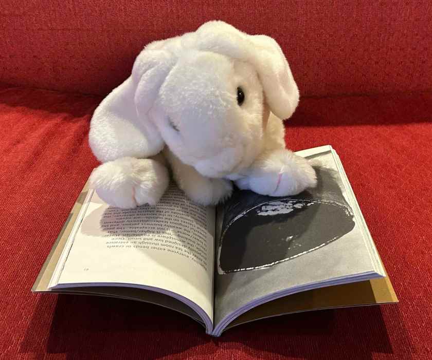 Marshmallow is reading Wabi-Sabi for Artists, Designers, Poets & Philosophers by Leonard Koren.