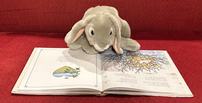 Sprinkles is reading Poetry for Young People: Emily Dickinson, edited by Frances Schoonmaker Bolin and illustrated by Chi Chung.