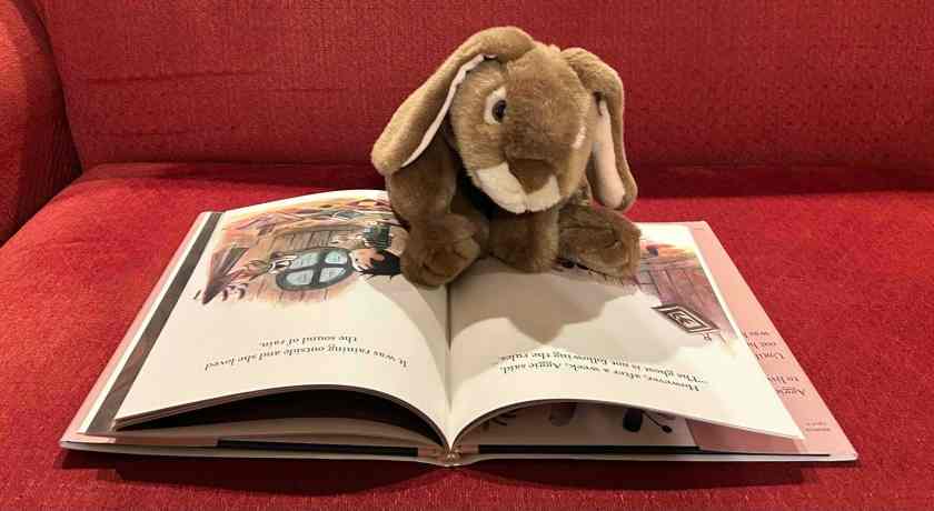 Caramel is reading Aggie and the Ghost by Matthew Forsythe.