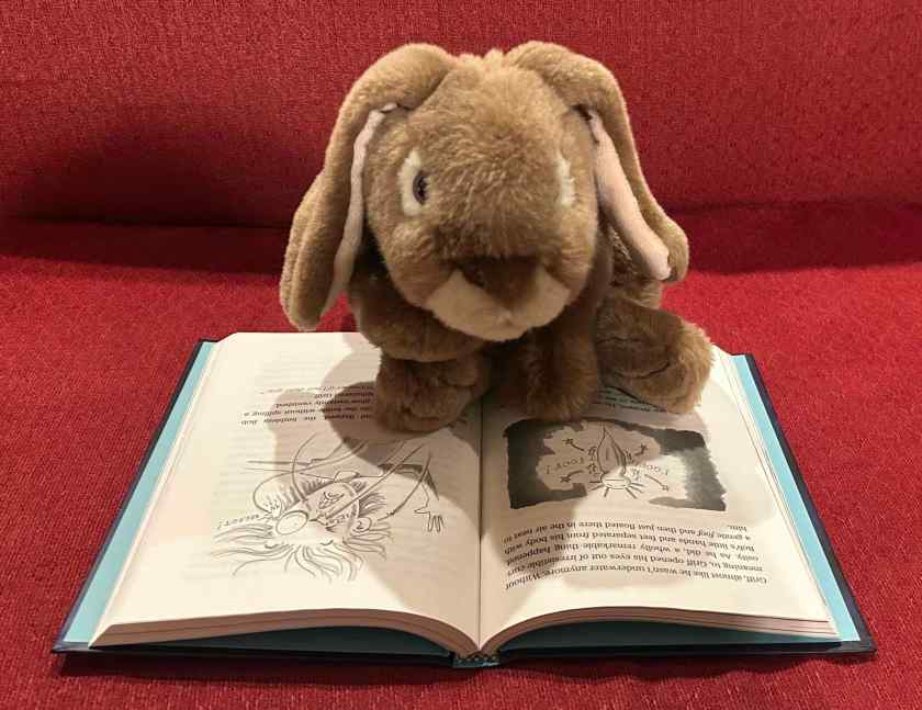 Caramel is reading Game of Pets Book 1: The Boy Who Knew Too Much by Aaron Blabey.