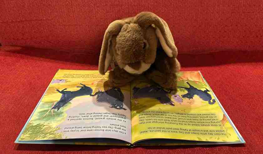 Caramel is reading Guapo’s Great Rescue: Clay Finds a Forever Home, written by Janet Zappala and Wendy Perkins, and illustrated by Lara Calleja.