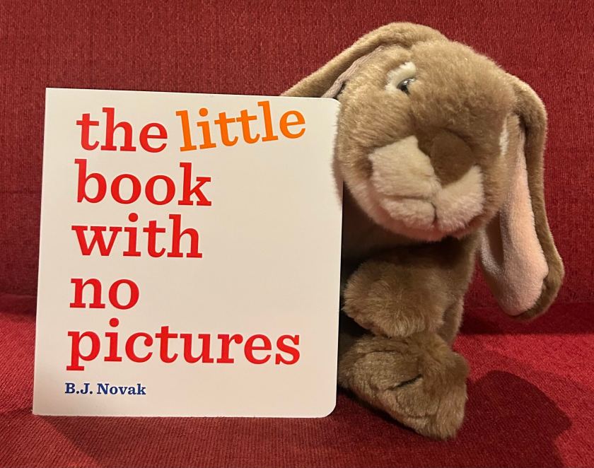 Caramel reviews The Little Book With No Pictures by B.J. Novak.