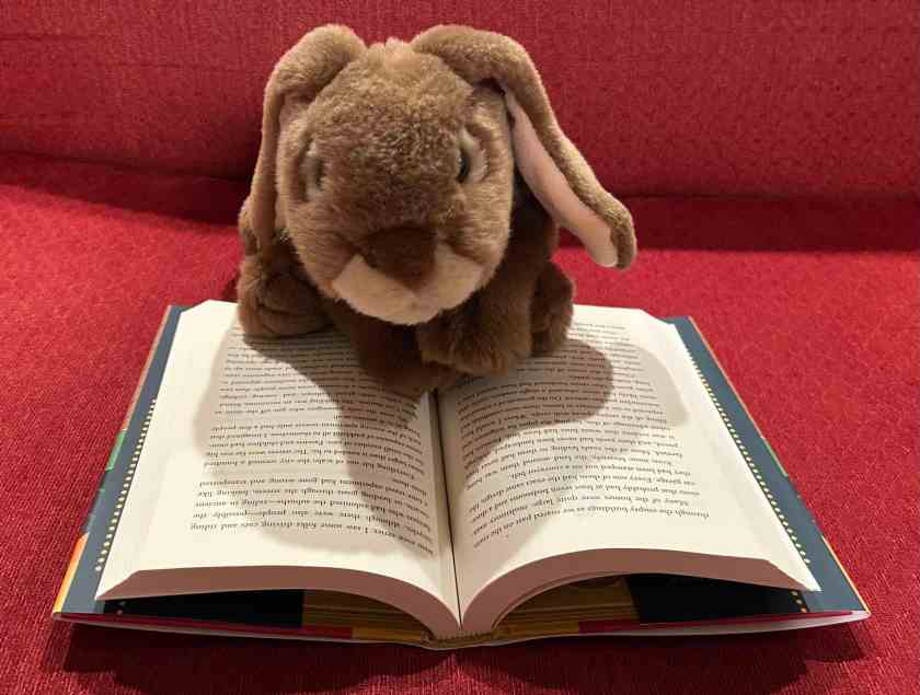 Caramel is reading Spy School Goes East by Stuart Gibbs. 