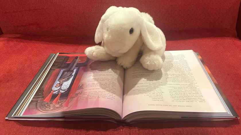 Marshmallow is reading Harry Potter and the Half-Blood Prince, written by J.K. Rowling and illustrated by Levi Pinfold.