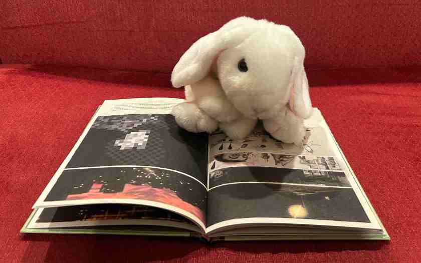 Marshmallow is reading Mr. Distinctive, written in Polish by Olga Tokarczuk, illustrated by Joanna Concejo, and translated into English by Antonia Lloyd-Jones.