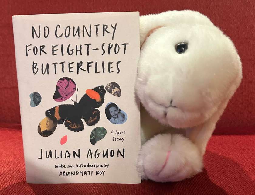 Marshmallow reviews No Country for Eight-Spot Butterflies by Julian Aguon.