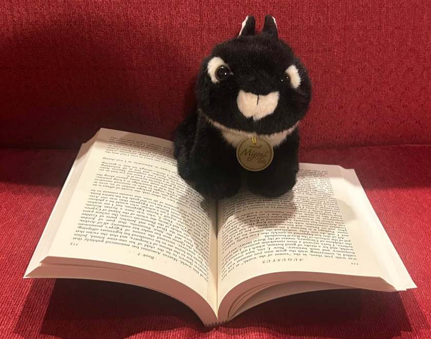 Midnight is reading Augustus by John Williams.